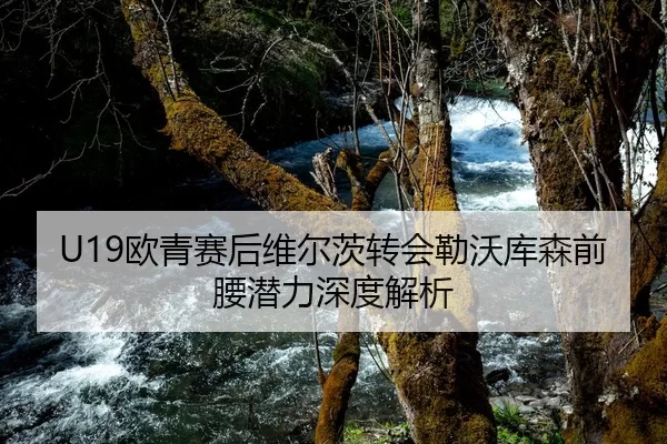 U19欧青赛后维尔茨转会勒沃库森前腰潜力深度解析
